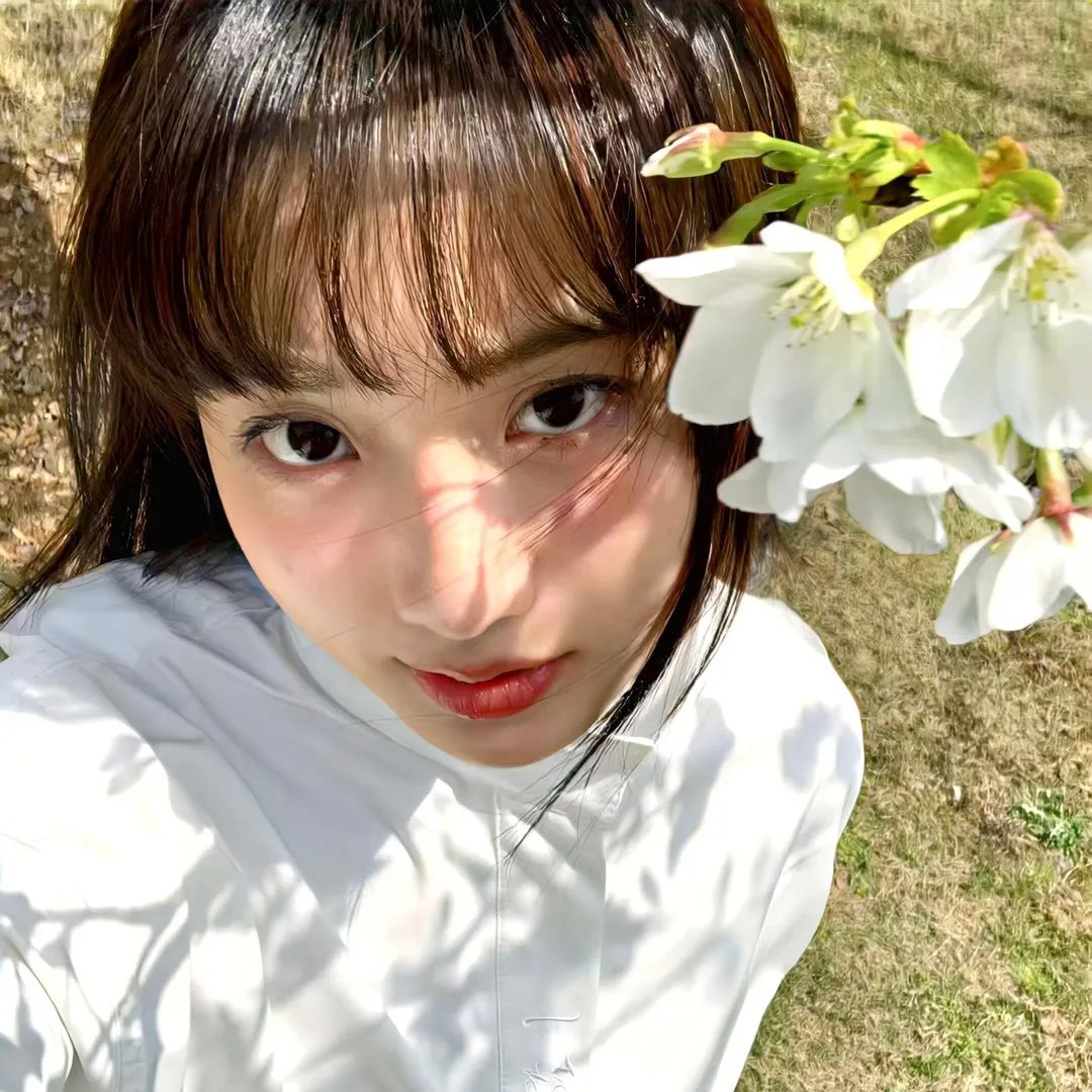 离婚后，我被三个高富帅哥哥团宠了