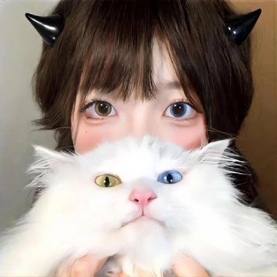 狗狗与你的故事